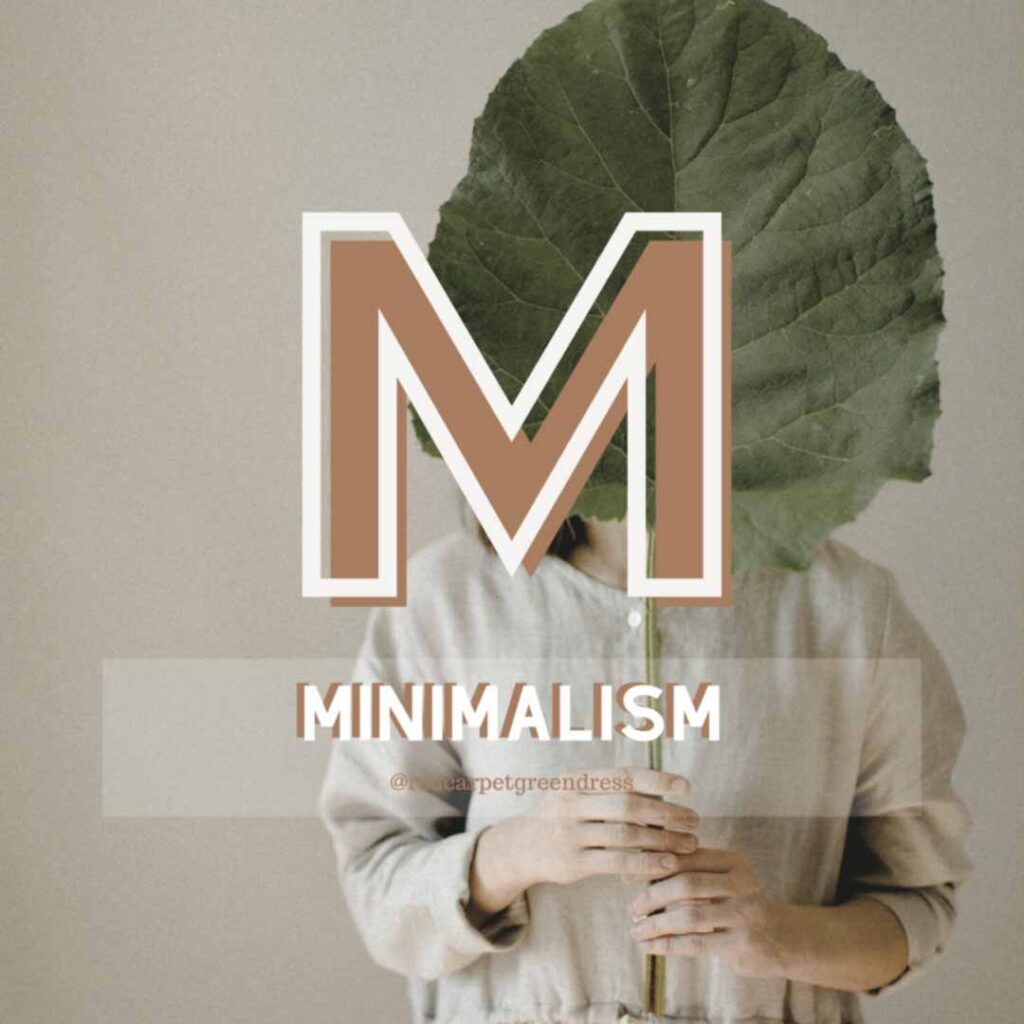 اصطلاحات مد پایدار : معنی Minimalism